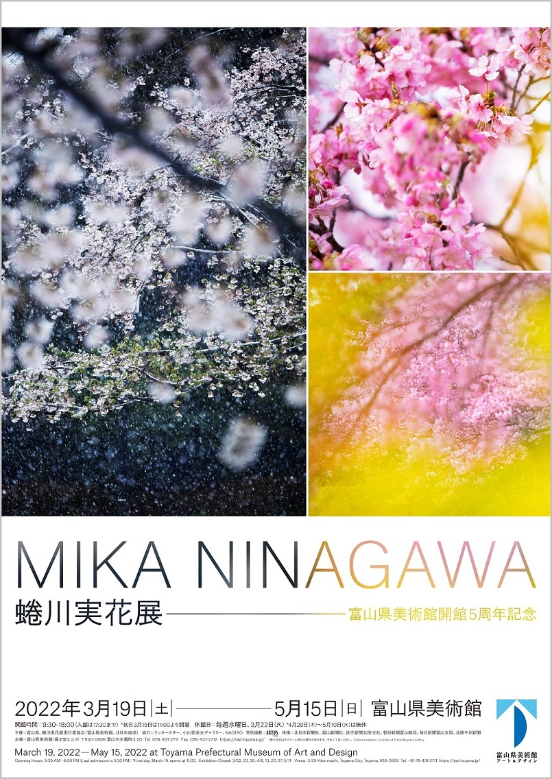 アート・デザイン・音楽 MIKANINAGAWA introductionbyDaidoMoriyama Maple Tree at Mama, Tekona Shrine and Linked Bridge | Ando