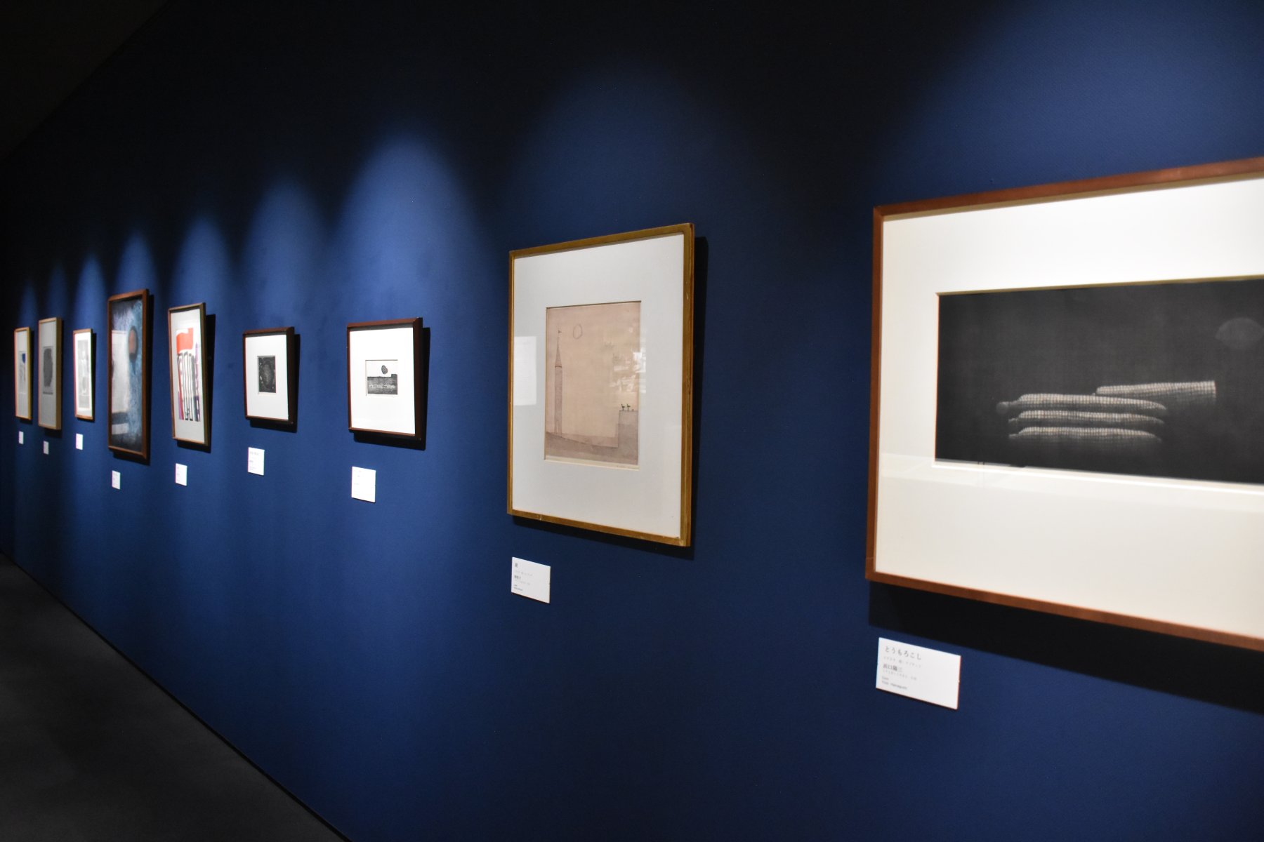 The Collection of Shuzo TakiguchiⅡ | Toyama Prefectural