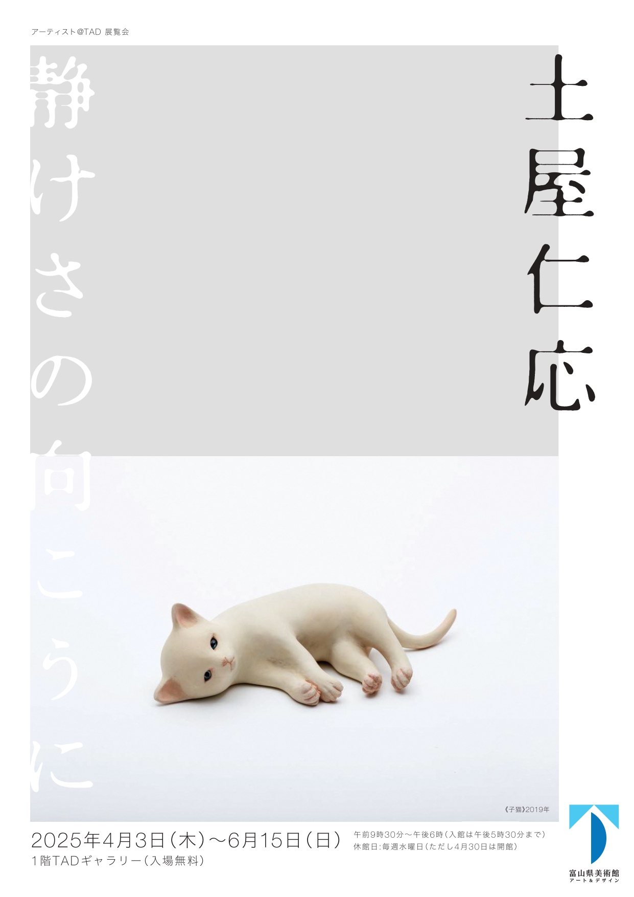 アーティスト＠TAD 土屋仁応ー静けさの向こうに | 富山県美術館