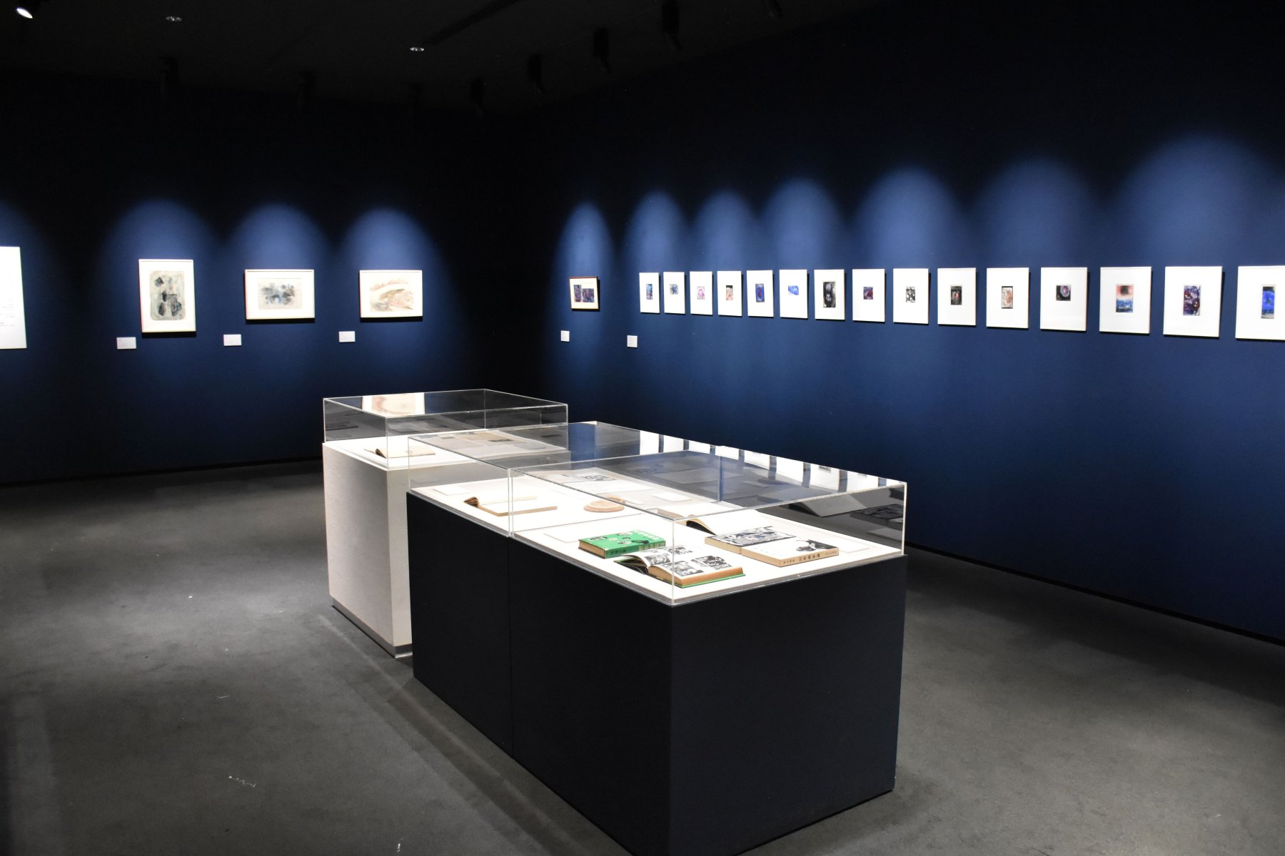 瀧口修造コレクションⅢ | 富山県美術館